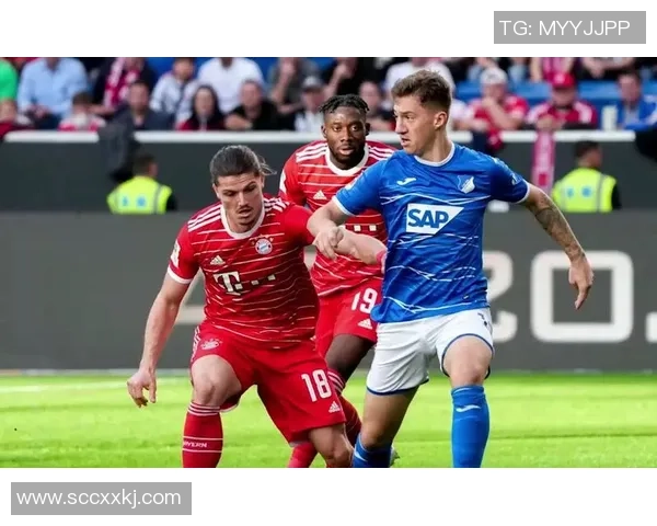 科隆主场迎战霍芬海姆双方争夺宝贵积分的激烈对决